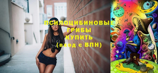 гашик Алексеевка