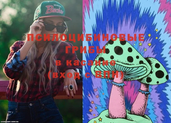 бутират Алексин