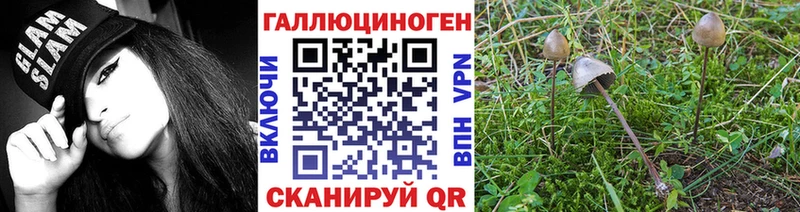 блэк спрут ТОР  Южно-Сахалинск  Псилоцибиновые грибы GOLDEN TEACHER  где найти  